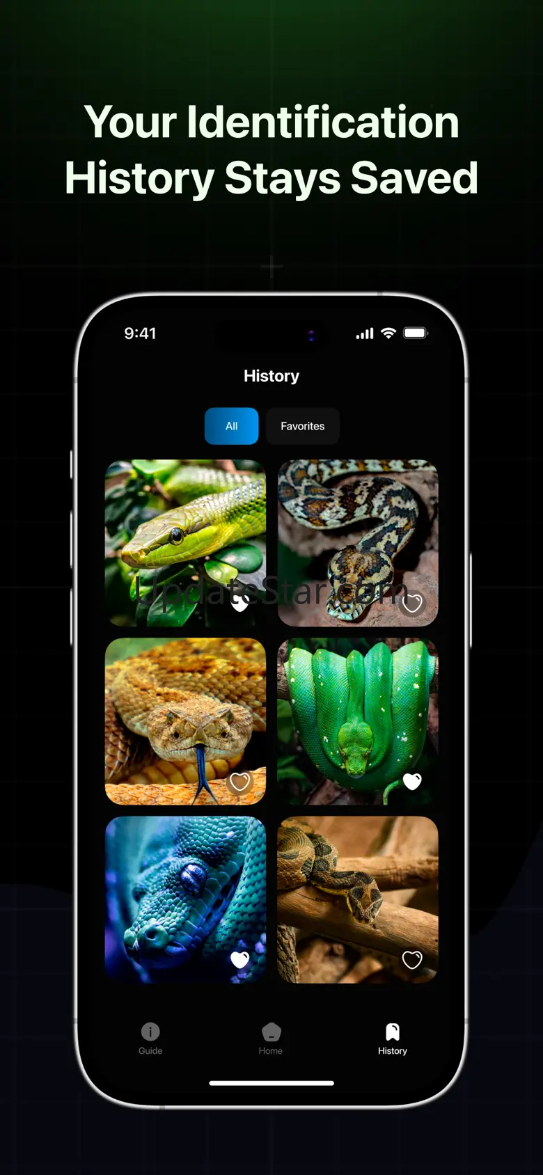 Snake Identifier: Reptile Scan 1.0