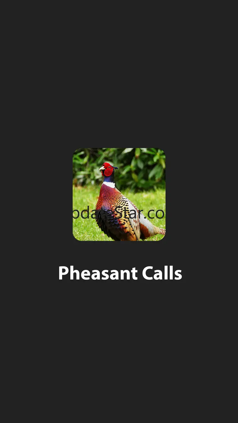 Pheasant Calls & Sounds 9.0