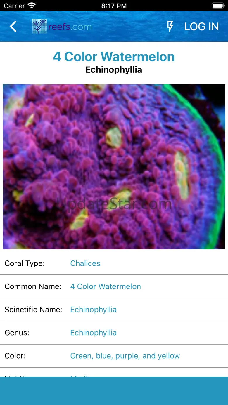Reefs 6.4.0
