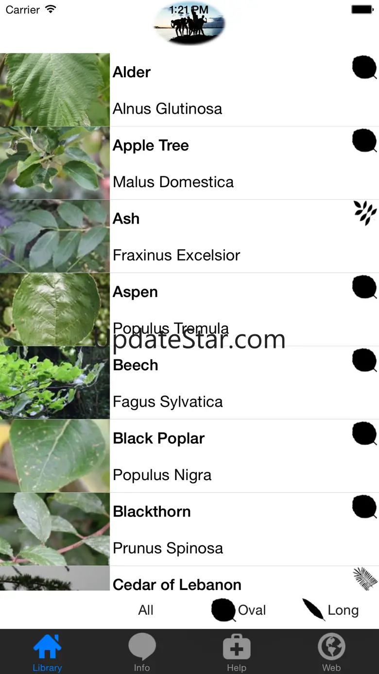 TreeWise 3.1