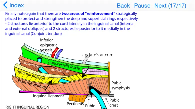 Anatomy Topics in Focus 5.0