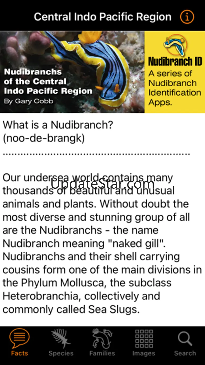 Nudibranch ID Indo Pacific 63.0