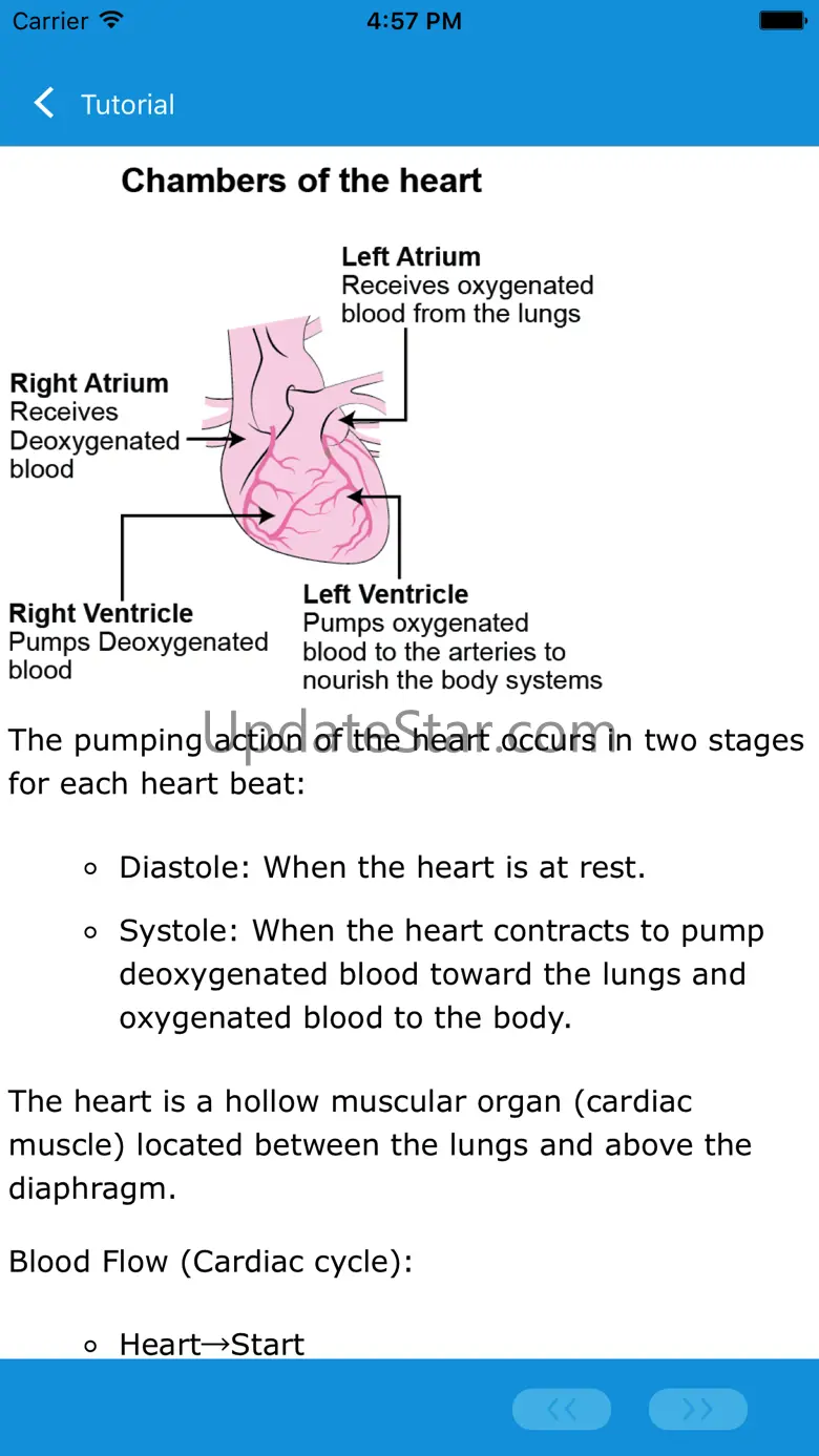 Heart Attack 101 7.5