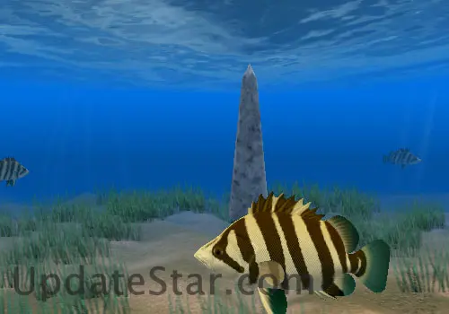 Tiger Fish Screensaver 1.0