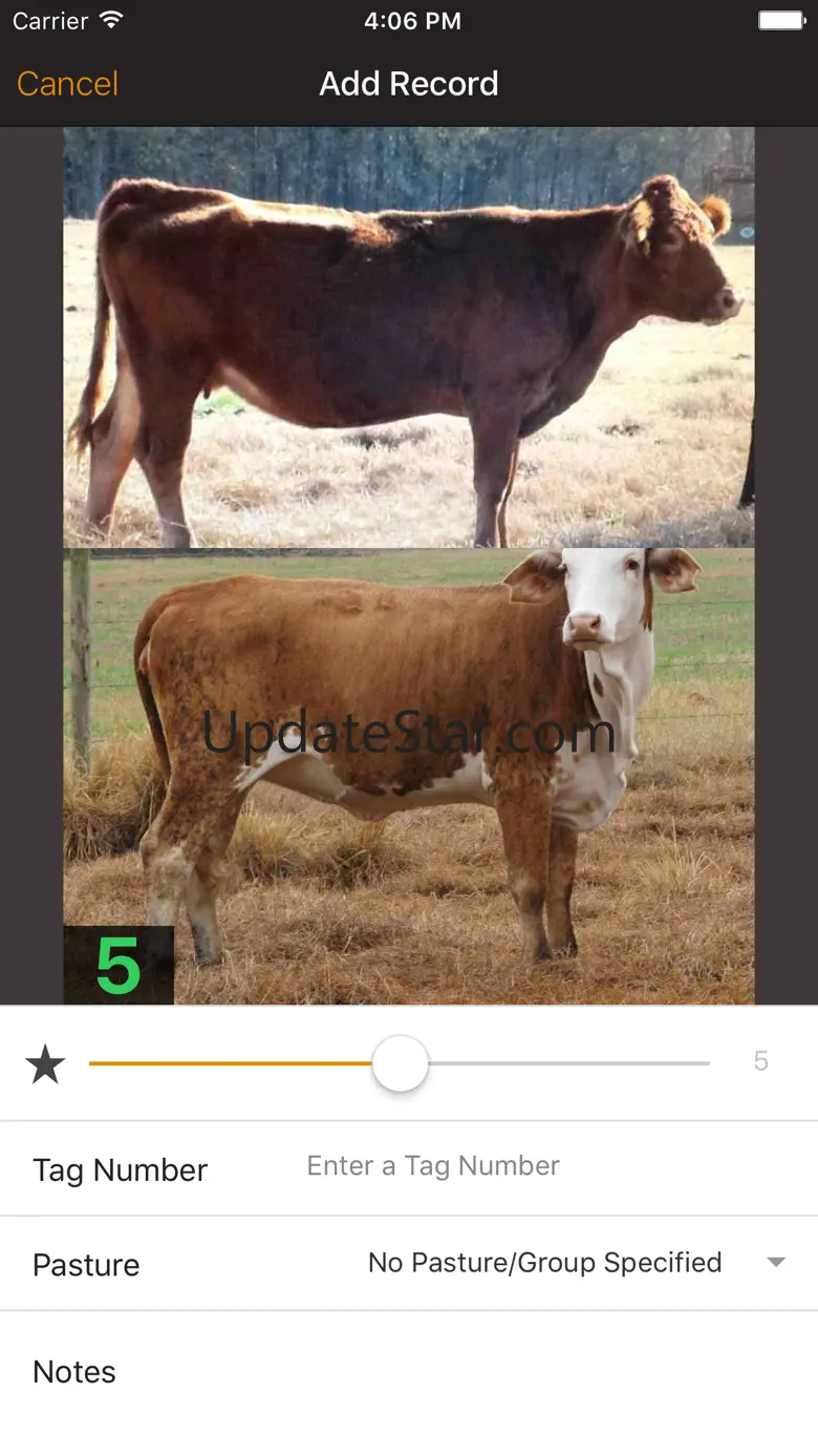Beef Cow BCS 3.0.0