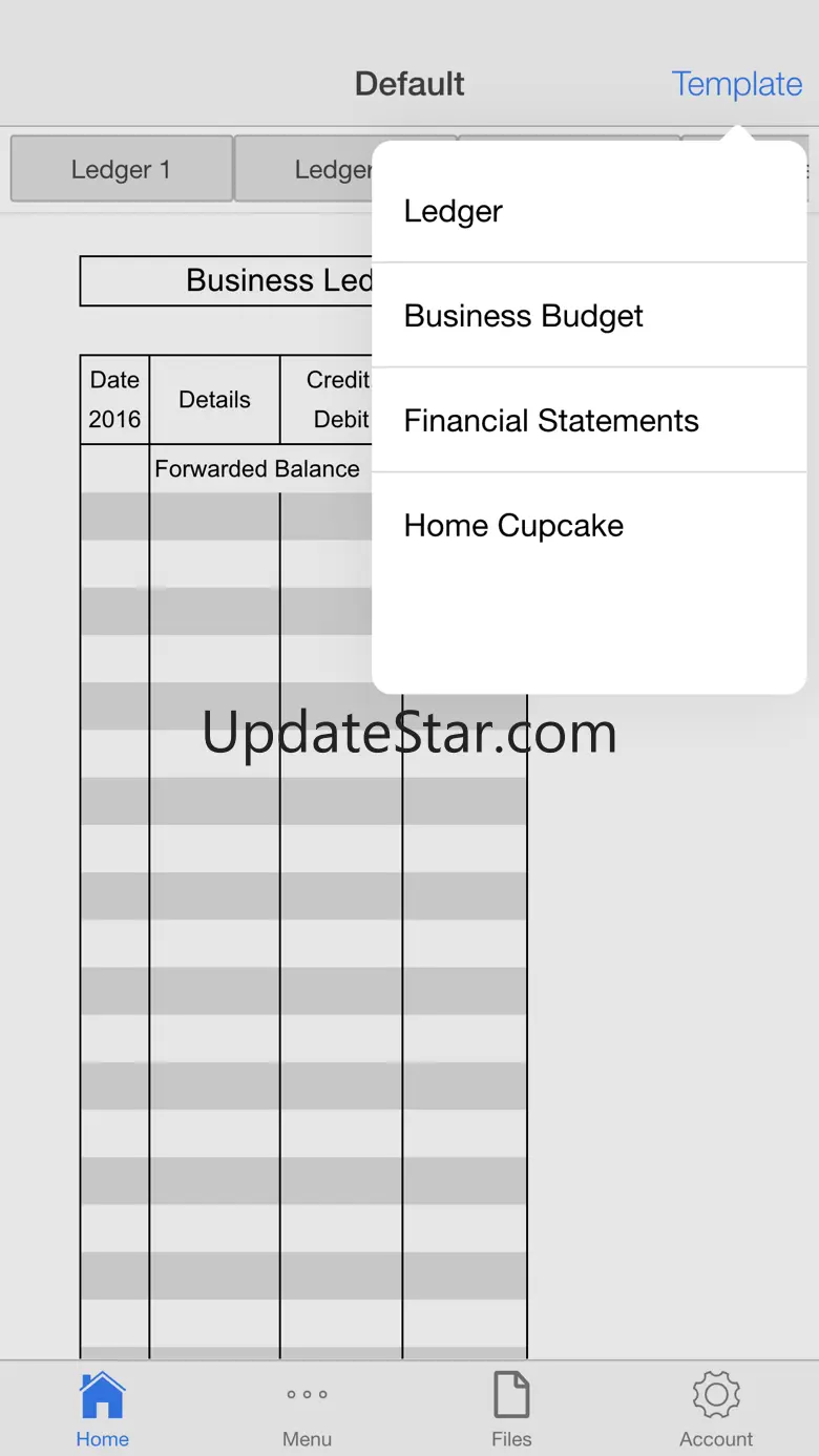 Account Ledger Pro 11.0