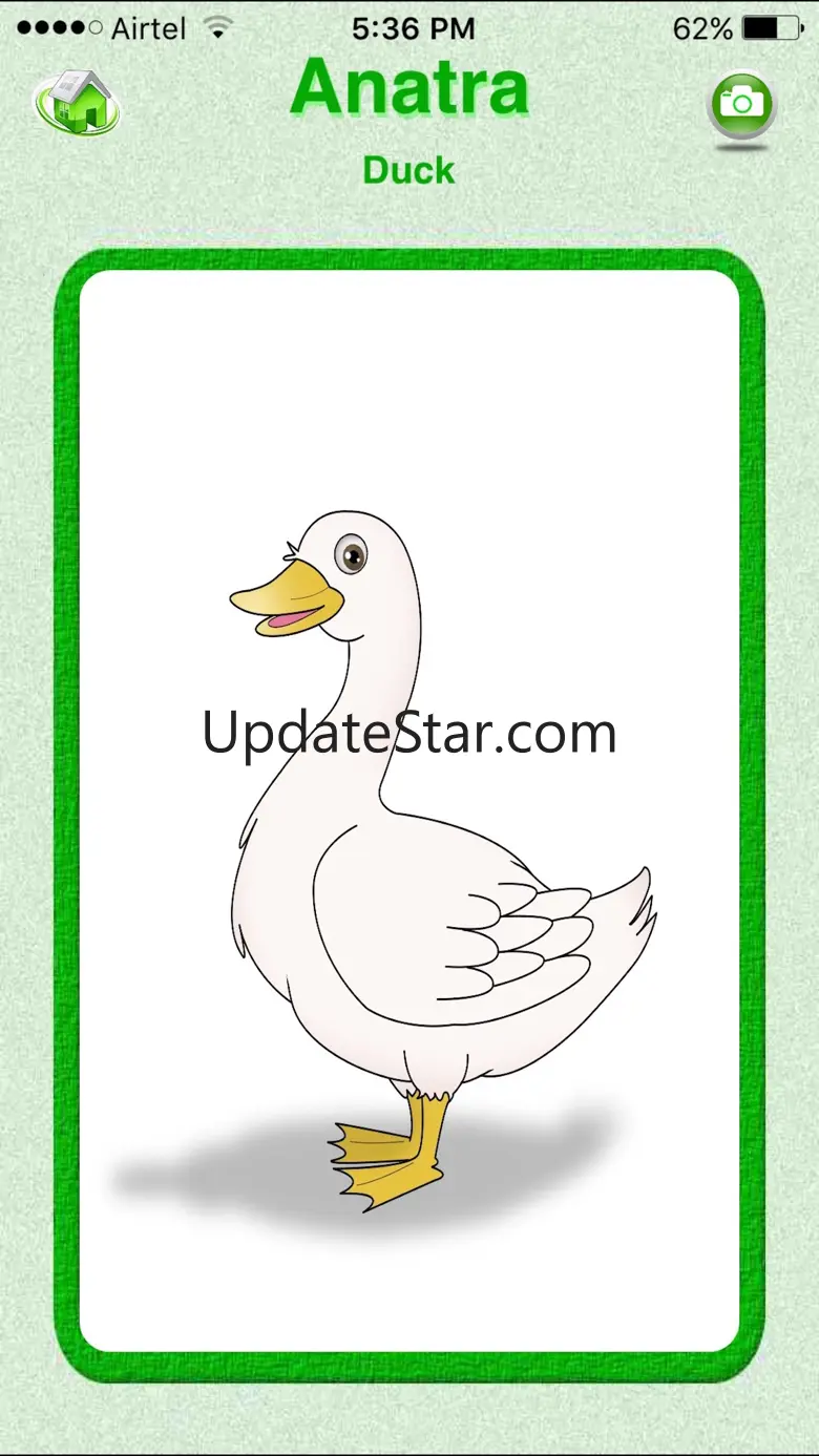 Flashcards Italian Lesson 4.1