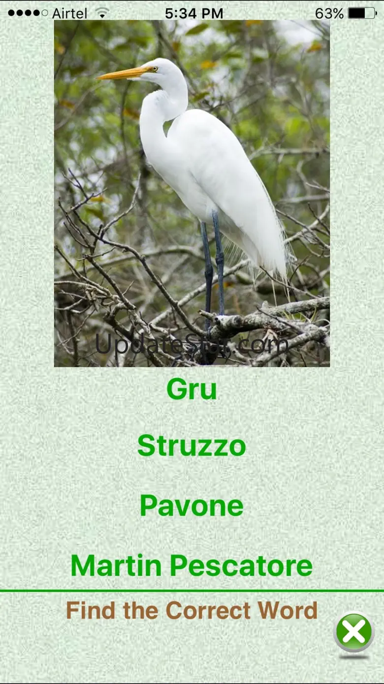 Flashcards Italian Lesson 4.1