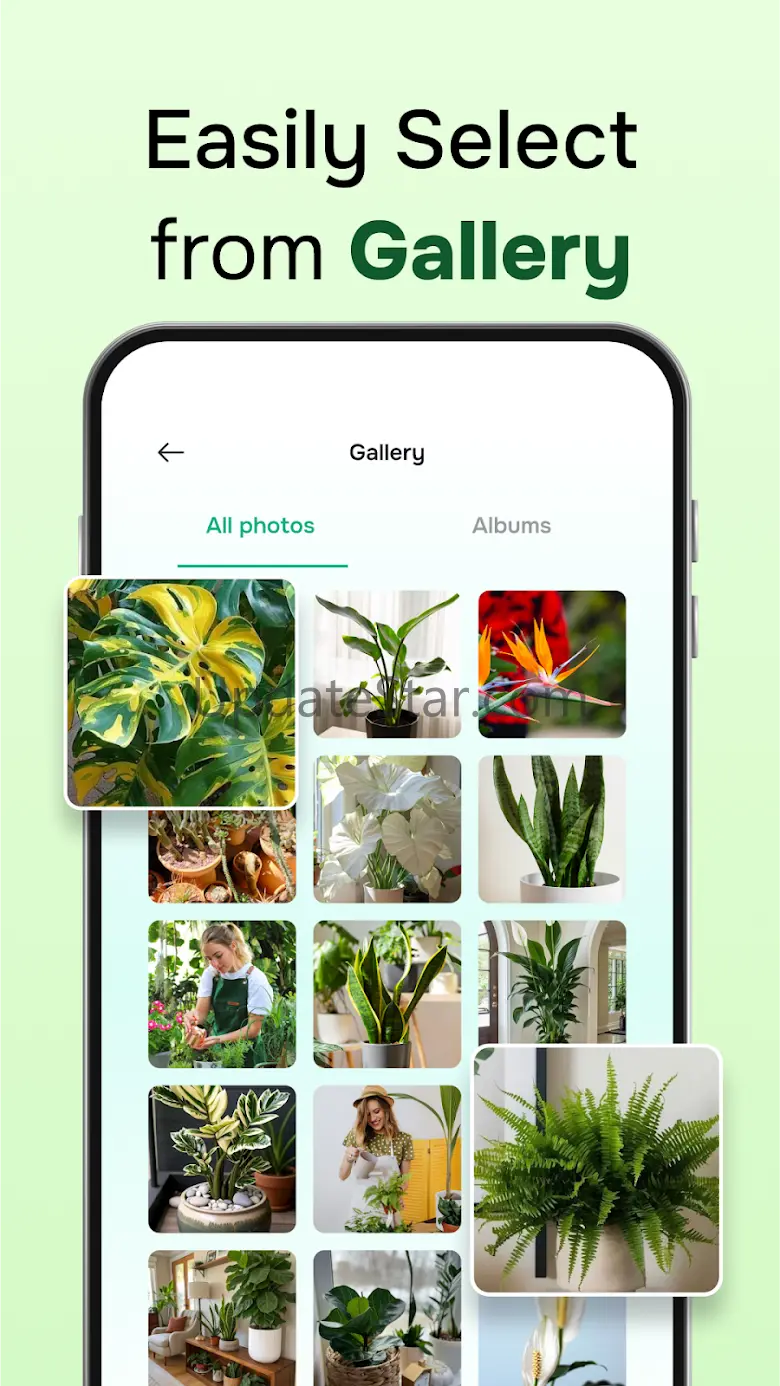 Herby: AI Plant Identifier 1.0.2