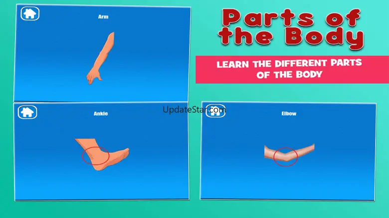 Parts of the Body 3.75