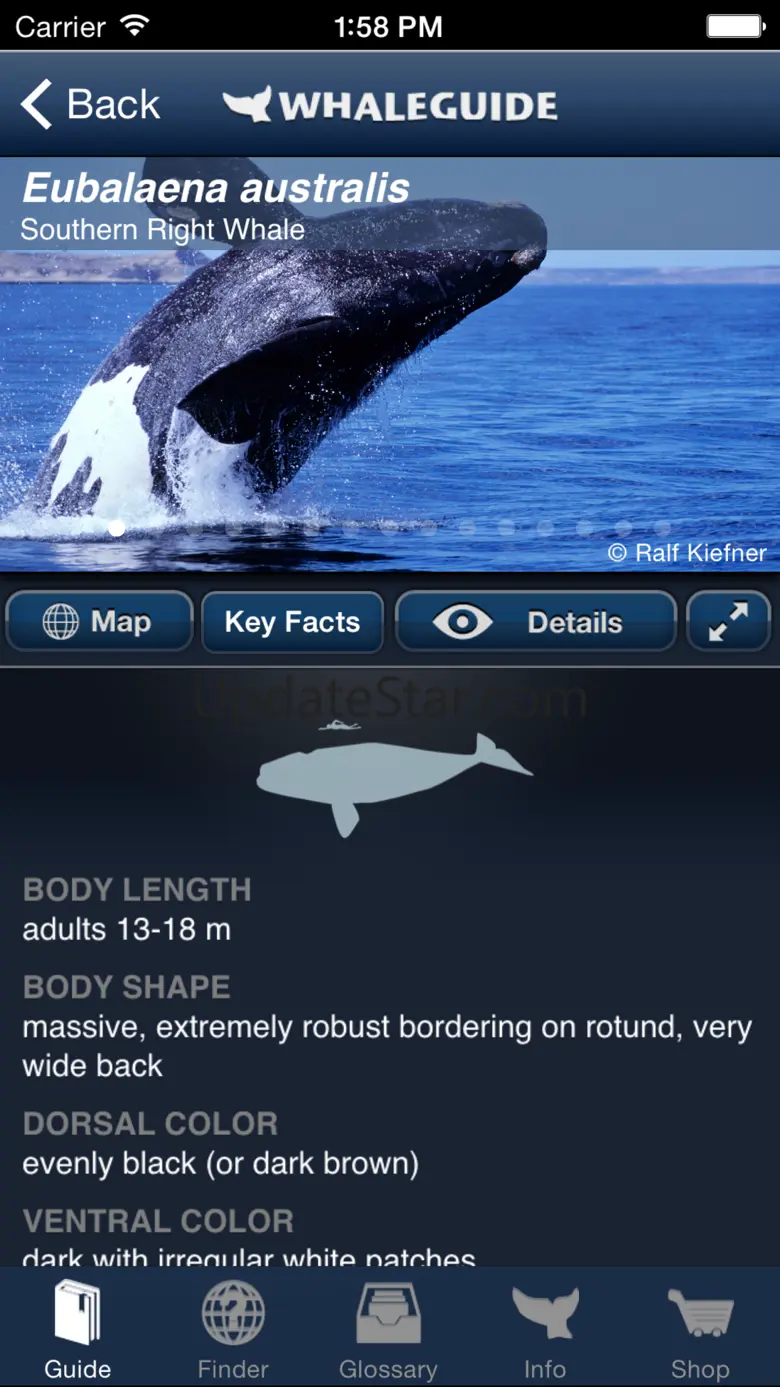 WhaleGuide for iPhone 1.970