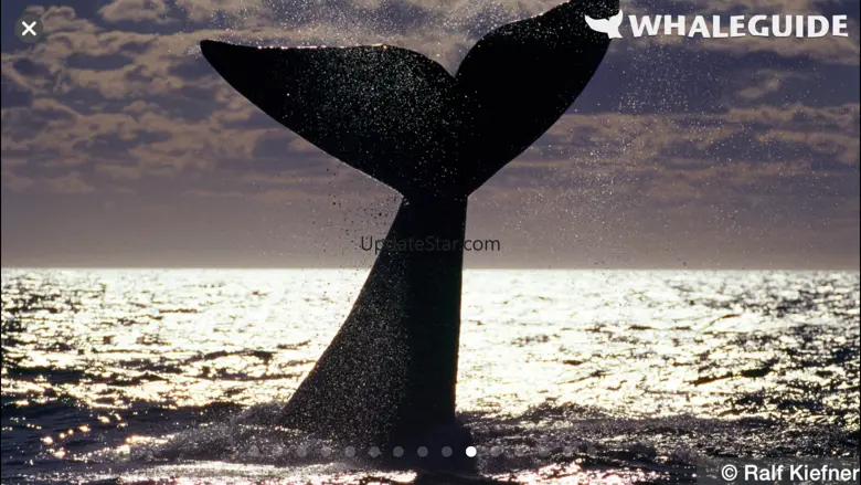 WhaleGuide for iPhone 1.970