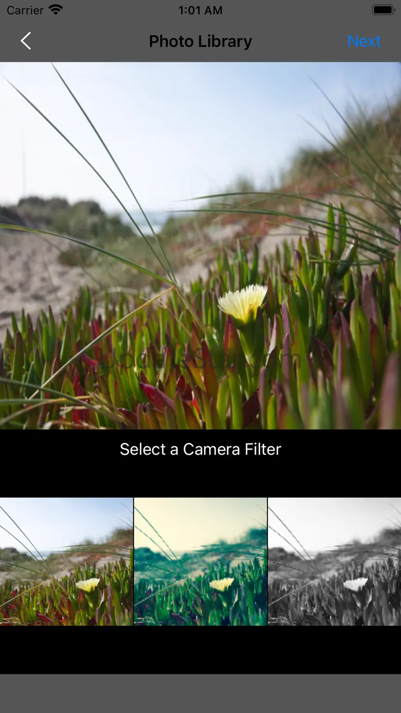 Mixagraph AI Social Images 3.5.5