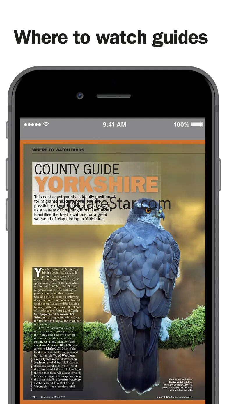 Birdwatch Magazine 7.2.10