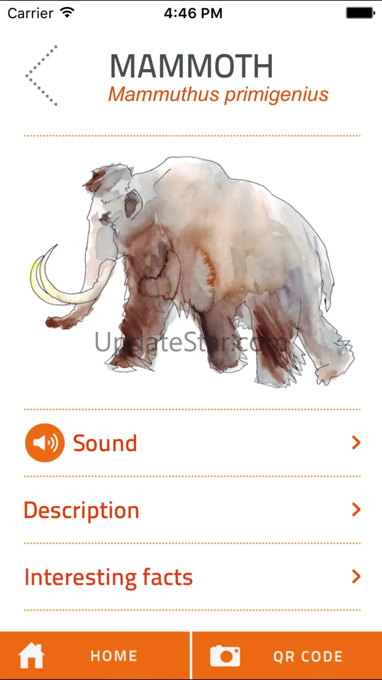 Vogelherd 1.2