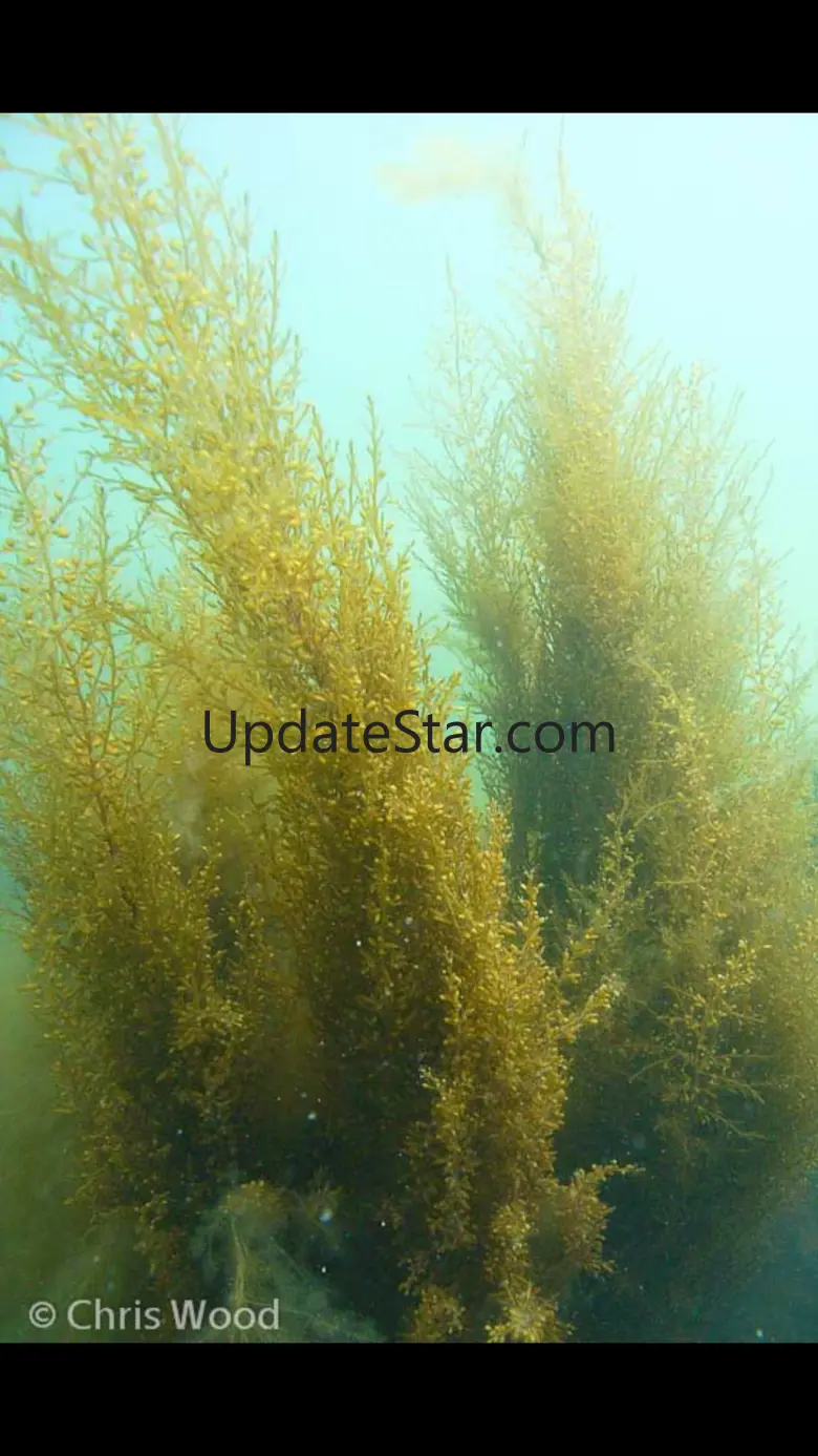Sealife Tracker 1.1.4