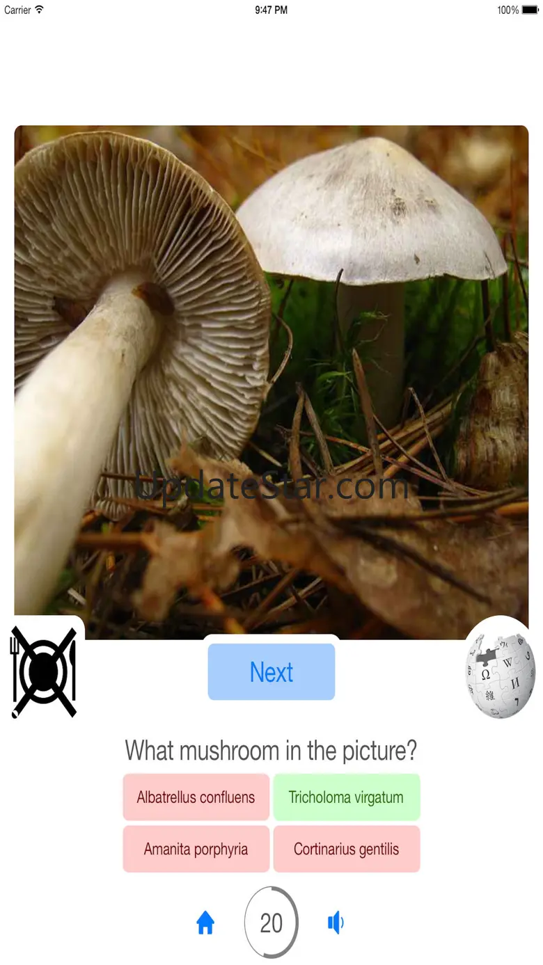 Guess Mushroom 1.0.2