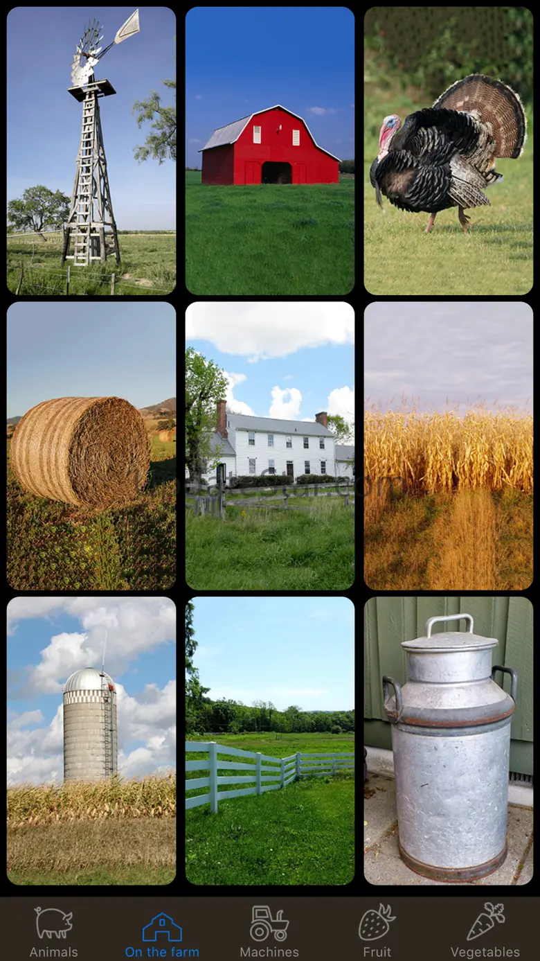 Farm Fun Flash Cards Learning 1.6