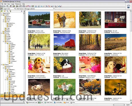 StudioLine Photo Classic 4.2.71