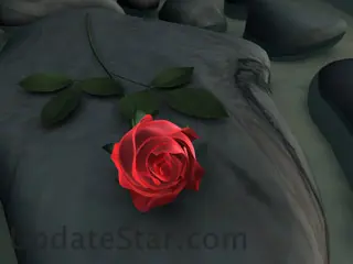 Flower Screensaver 2.7