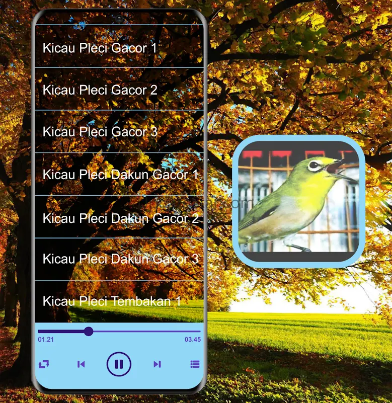 Masteran Kicau Pleci Mp3 16.0