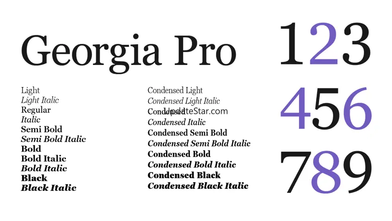 Georgia Pro 1.0.2.70