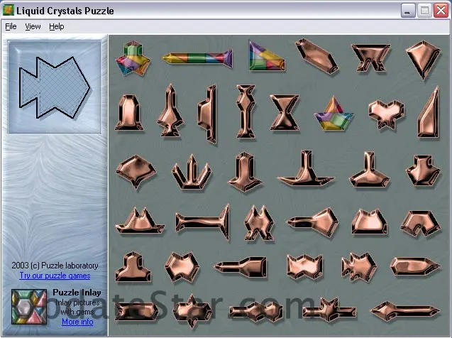 Liquid Crystals Puzzle 1.1