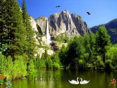 Eagles Kingdom Screensaver 2.0