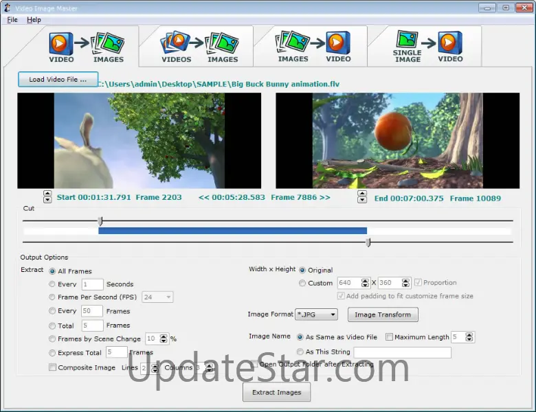 Video Image Master 7.9.8