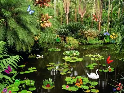 Butterflies Ponds Screensaver 2.0