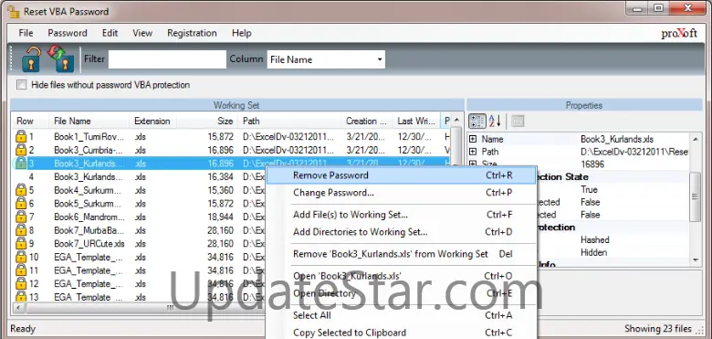 Reset VBA Password 6.17.1.8