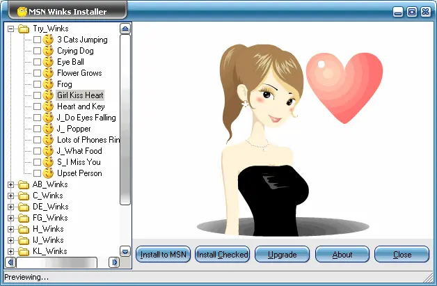MSN Winks Installer 1.22