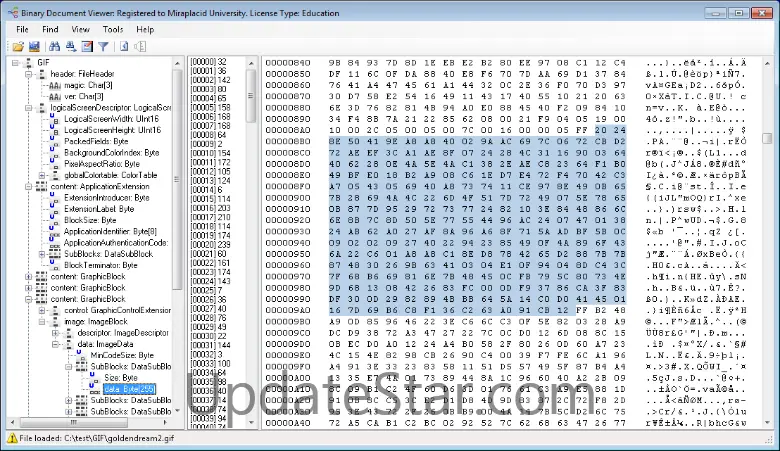 Miraplacid Binary and Text DOM SDK 3.2