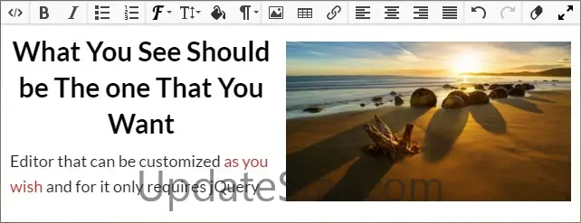 Jodit Editor OEM License