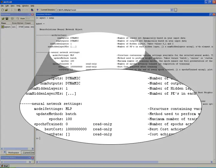 NeuroSolutions for MATLAB 5.5