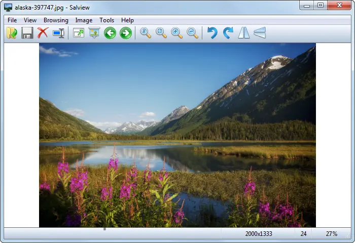 Salview 2.3