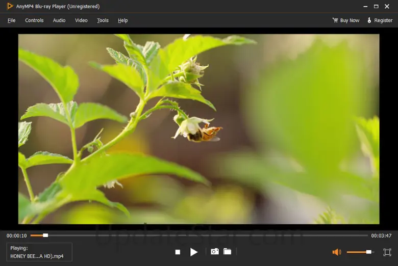 AnyMP4  Blu-ray Player 6.5.12