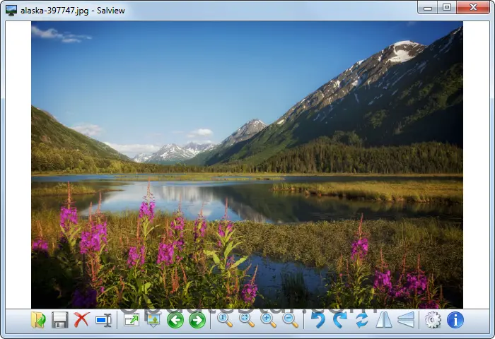 Salview 2.3