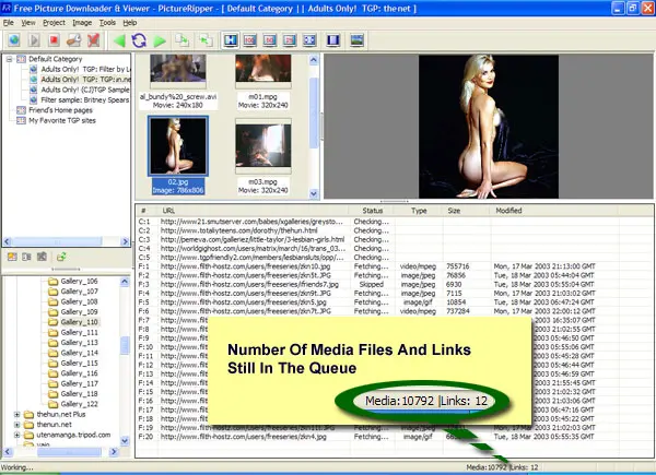 Picture Ripper 4.70