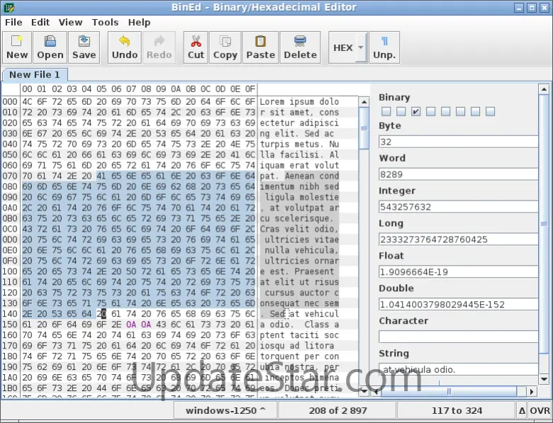 BinEd for Linux 0.2.3