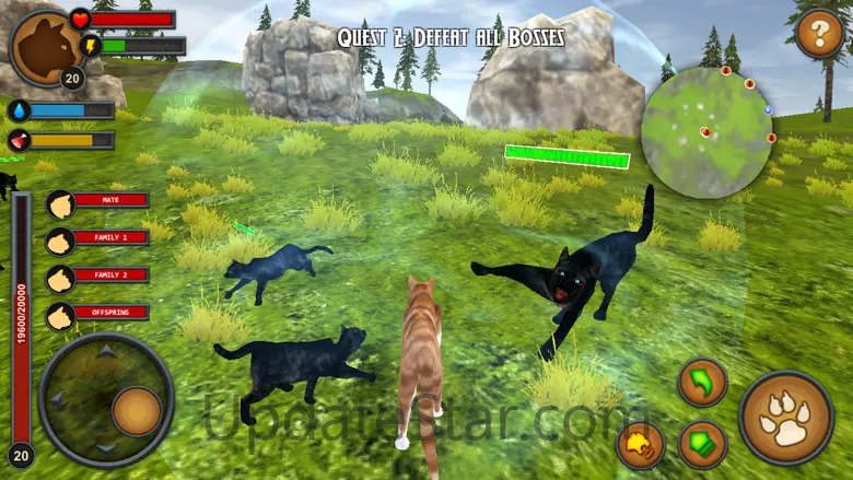 Cats of the Forest 1.2