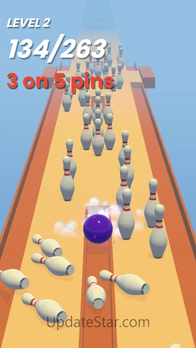 Bowling Runner 3D 1.0
