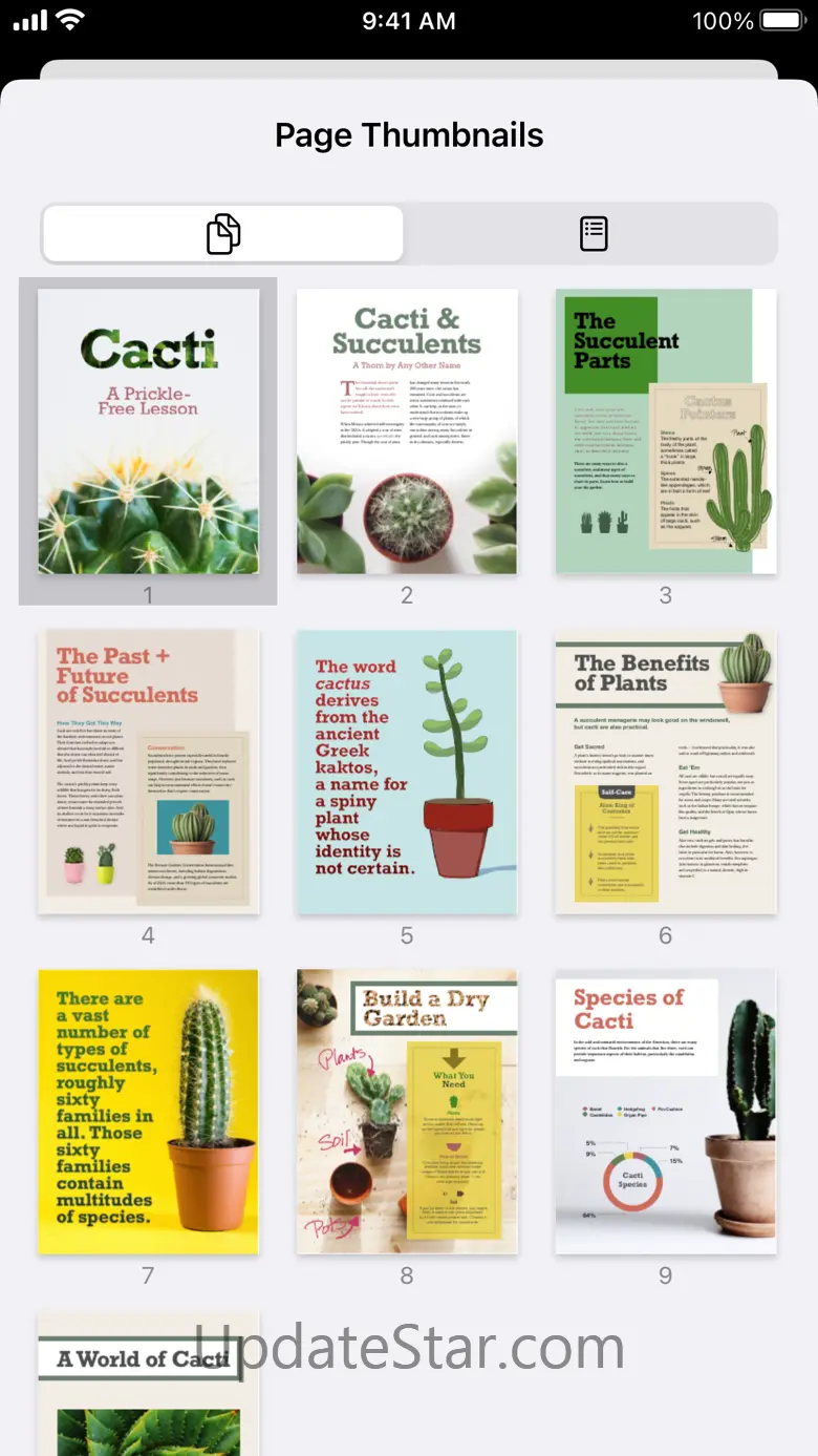 PAGES 2.1