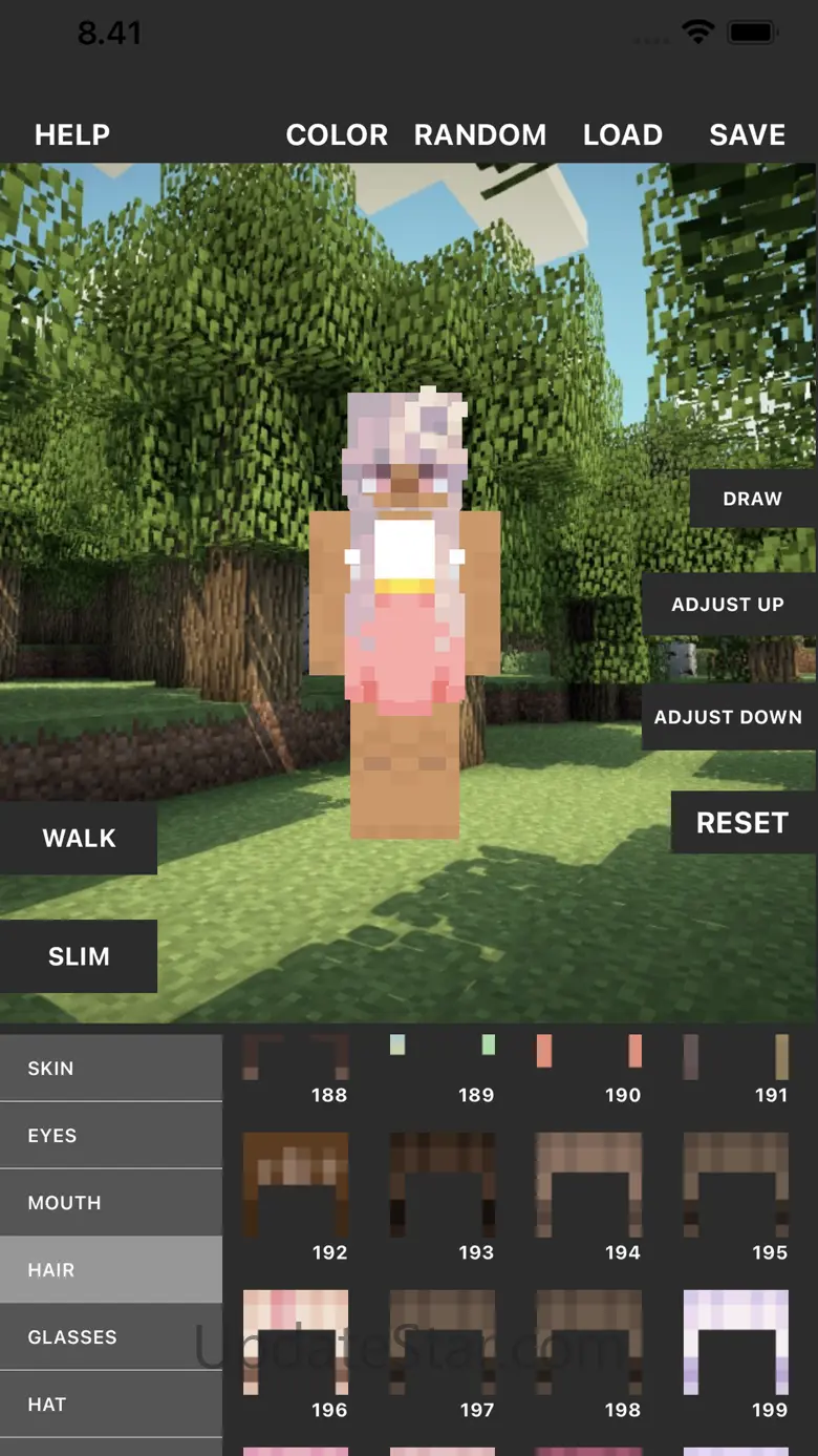 Custom Skin Creator 9.0