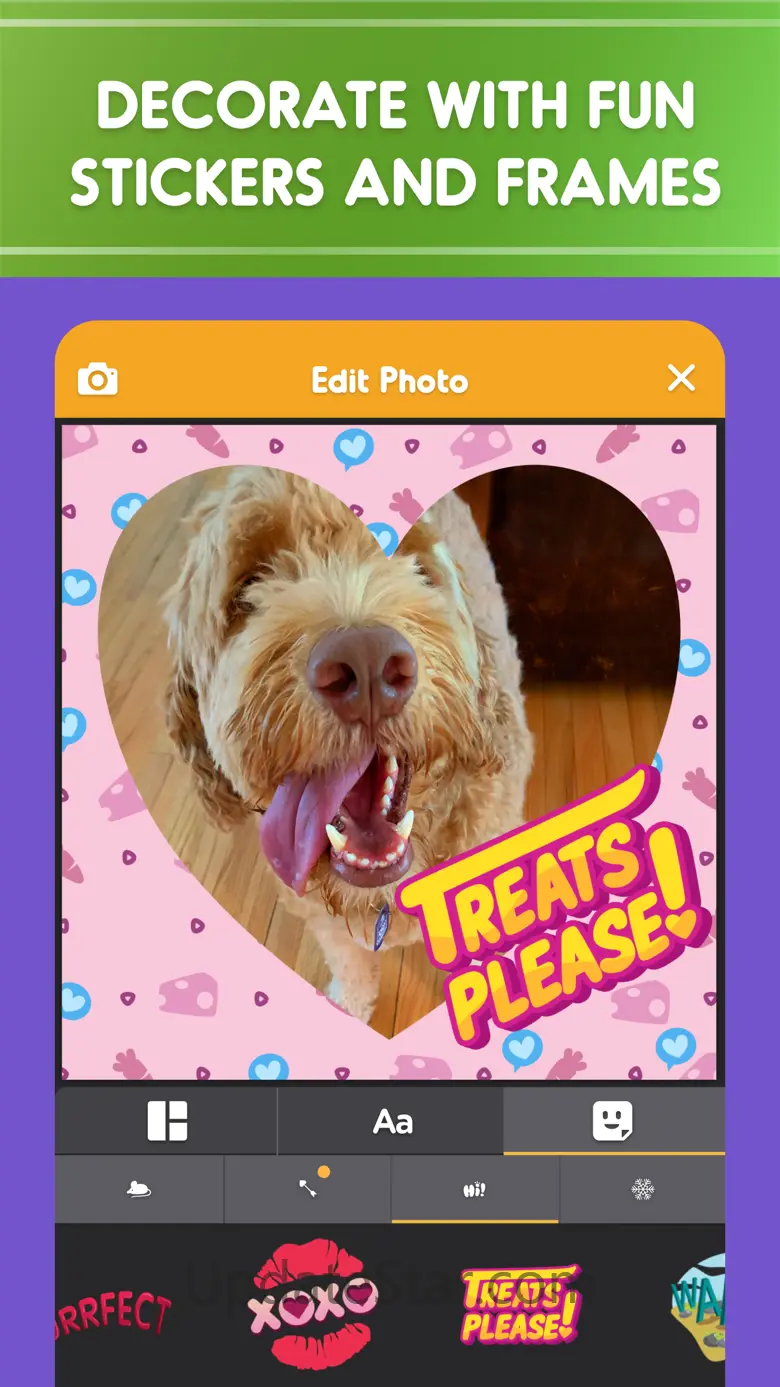 Pet Parade: Cutest Dogs & Cats 2.9.12
