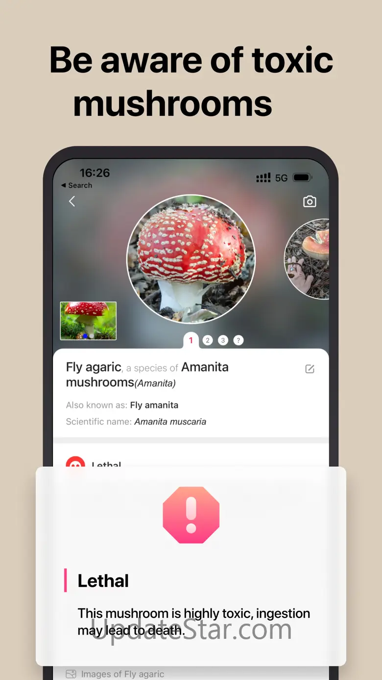 Picture Mushroom: Fungi finder 2.12.1