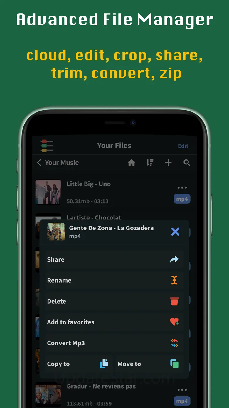 FoxFM - Offline Video Player 3.9.91