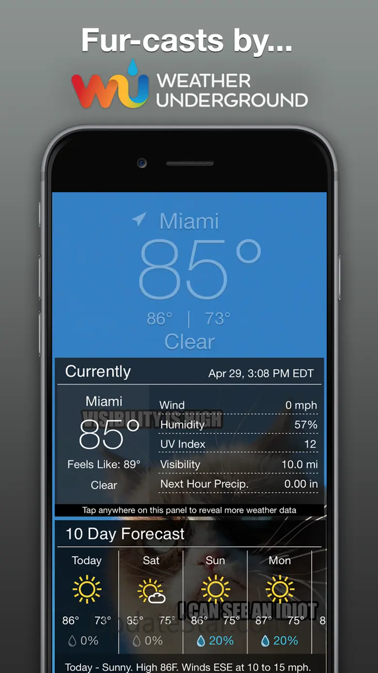 Grumpy Cat's Funny Weather 5.4.1