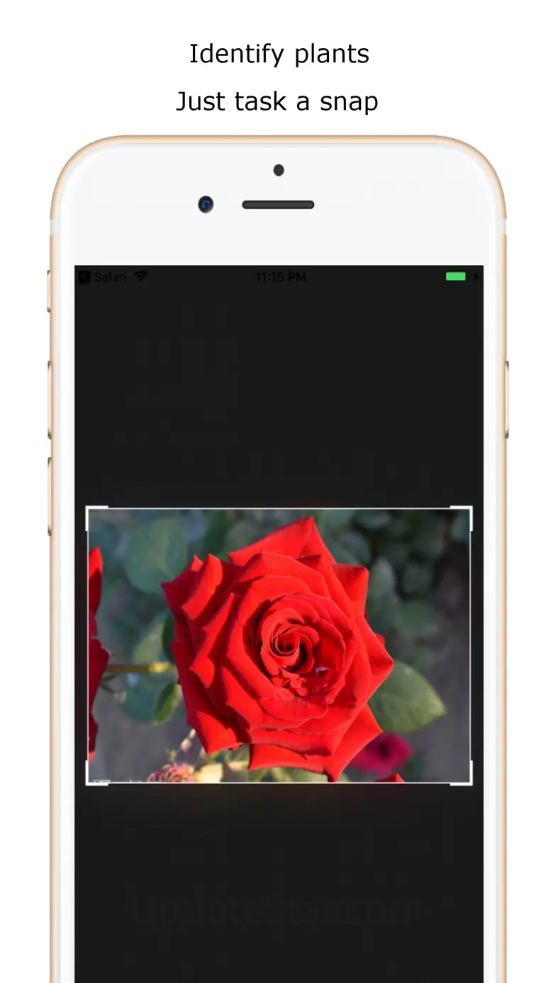 iplant - Plant Identification 2.2.0