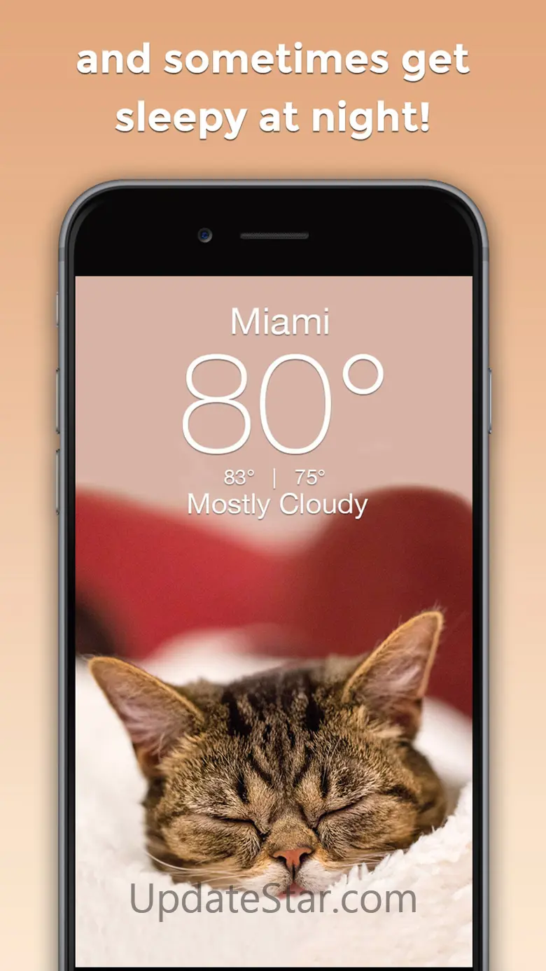 Lil BUB Cat Weather Report 5.4.1